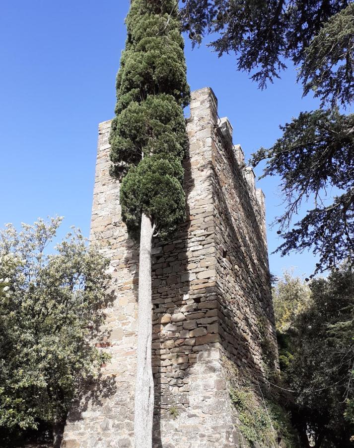 Castelvecchio B&B Montenero d'Orcia Buitenkant foto